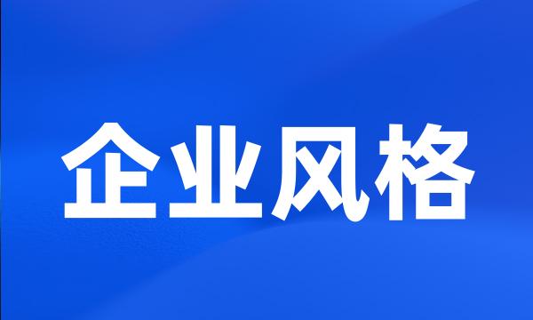 企业风格