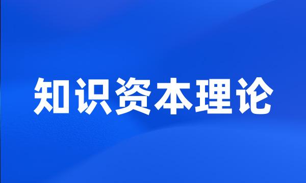 知识资本理论