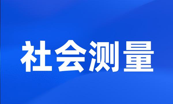 社会测量