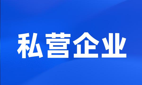 私营企业