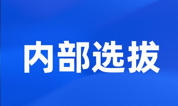 内部选拔