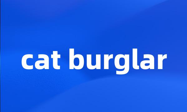 cat burglar