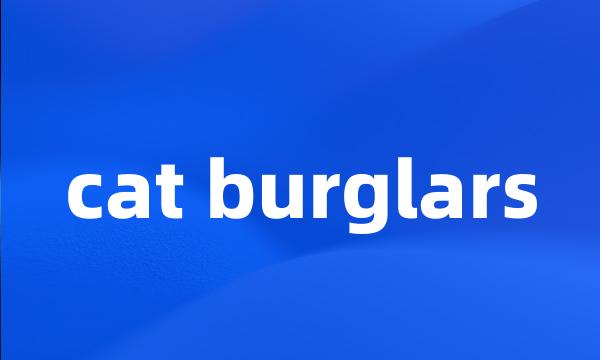 cat burglars