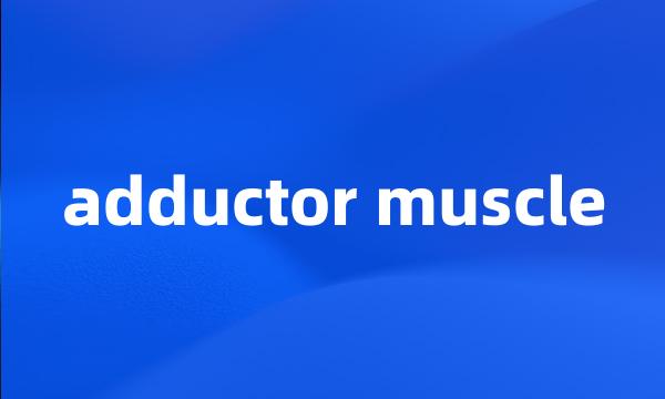 adductor muscle