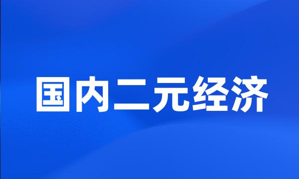 国内二元经济