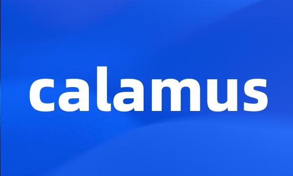 calamus