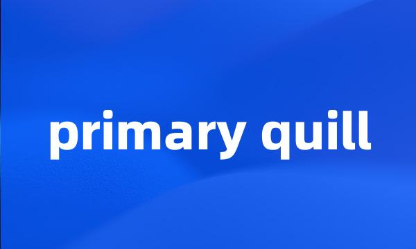 primary quill