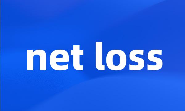 net loss