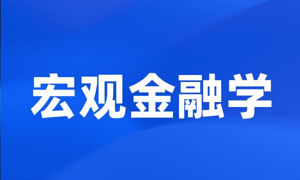 宏观金融学