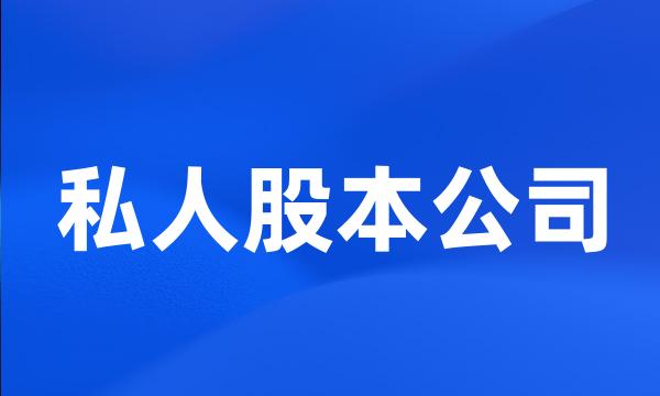 私人股本公司