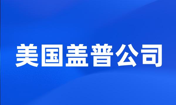 美国盖普公司