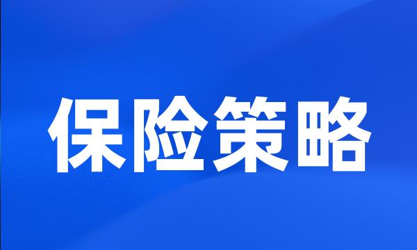 保险策略