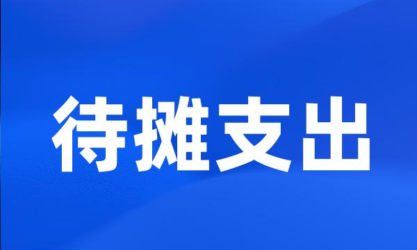 待摊支出