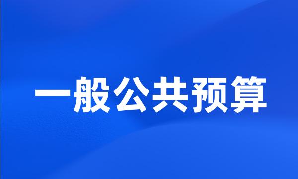 一般公共预算