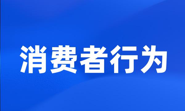 消费者行为