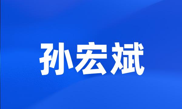 孙宏斌