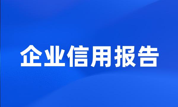 企业信用报告