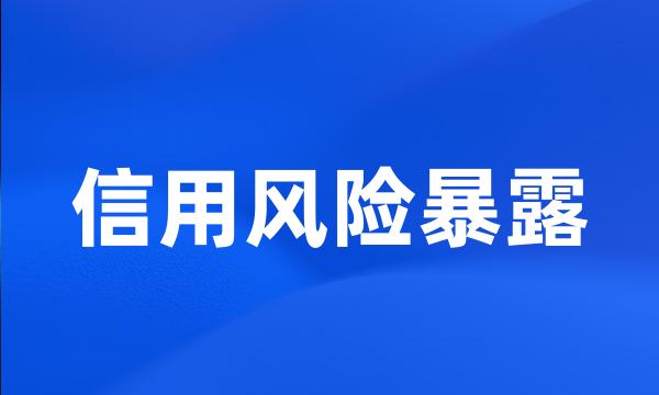 信用风险暴露