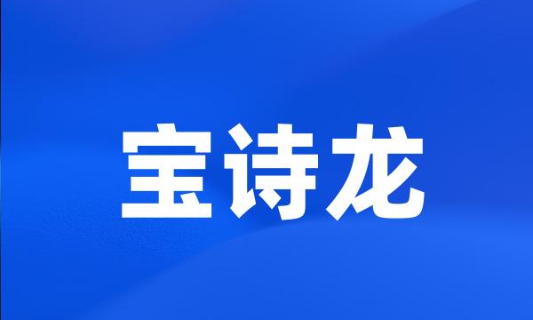 宝诗龙