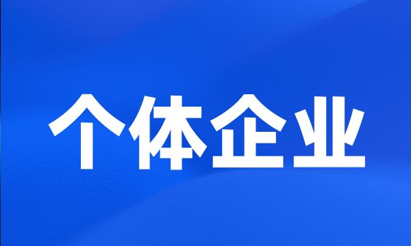 个体企业