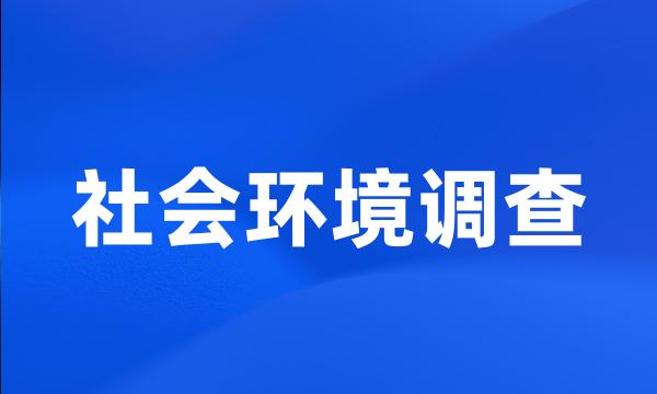 社会环境调查