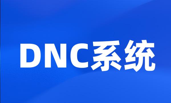 DNC系统