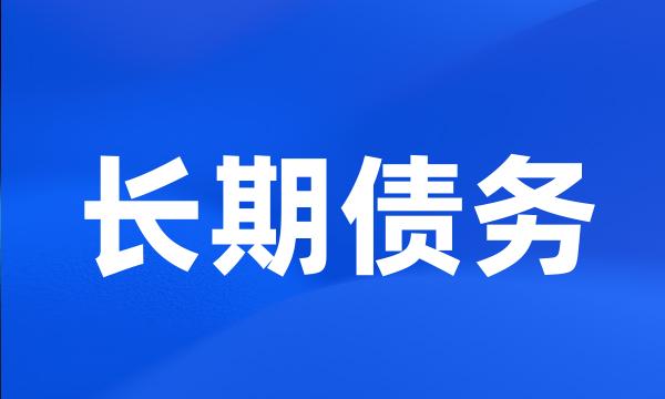 长期债务