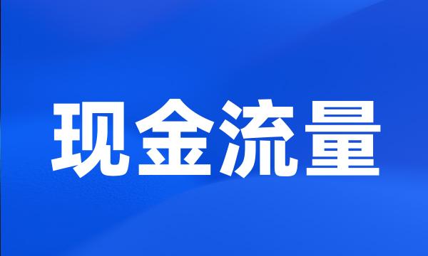 现金流量