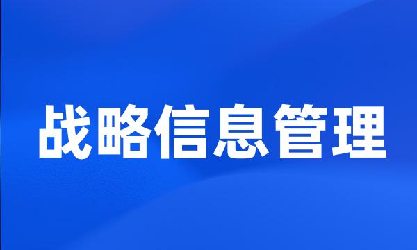 战略信息管理