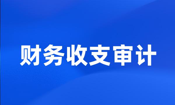 财务收支审计