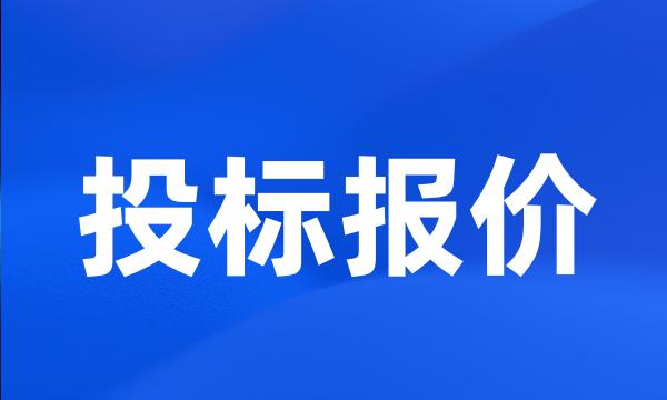 投标报价