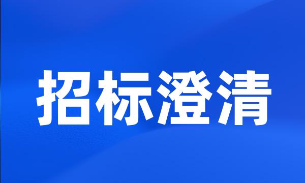 招标澄清