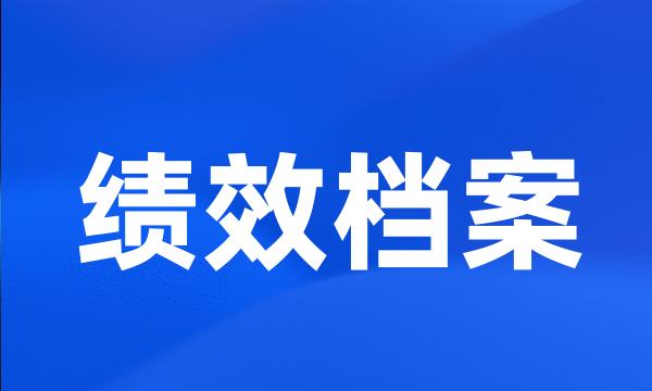 绩效档案