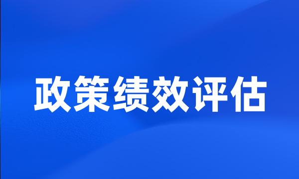 政策绩效评估