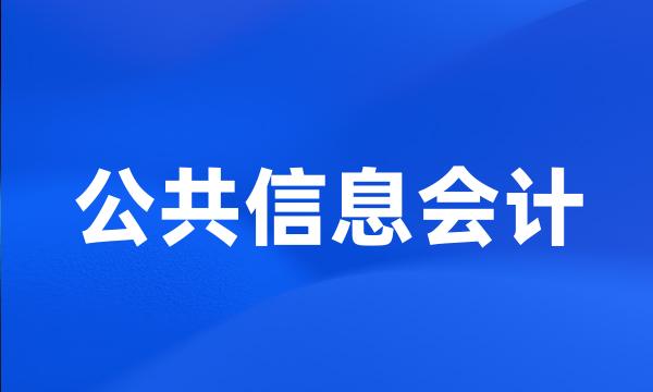 公共信息会计