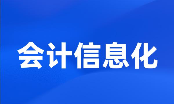 会计信息化