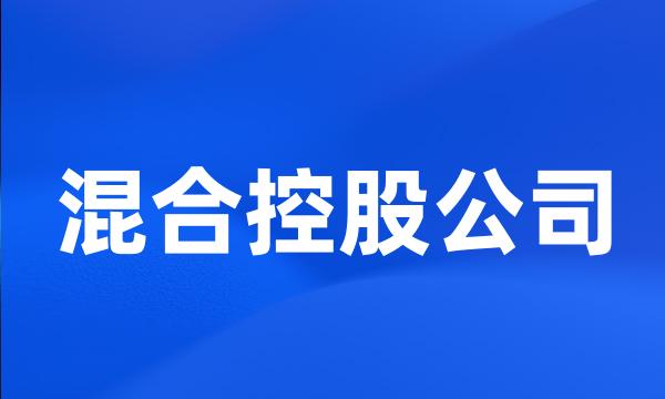 混合控股公司