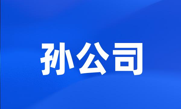 孙公司