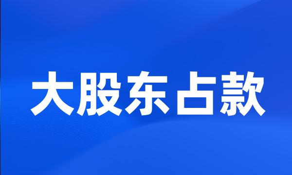 大股东占款