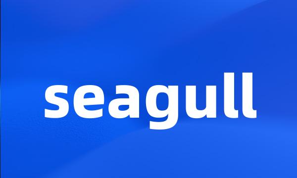 seagull