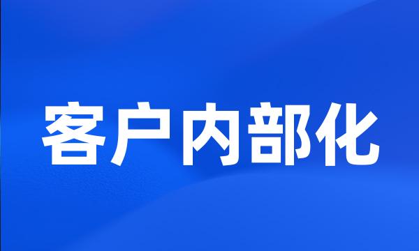 客户内部化