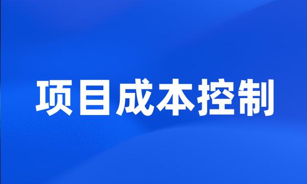 项目成本控制