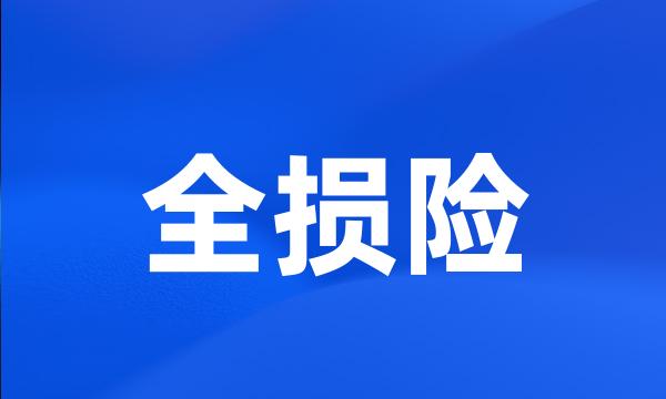 全损险