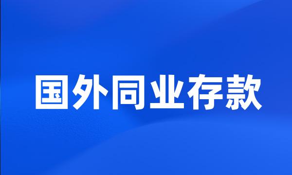 国外同业存款