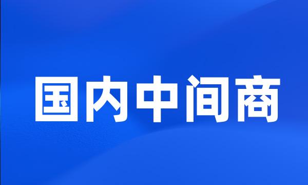 国内中间商