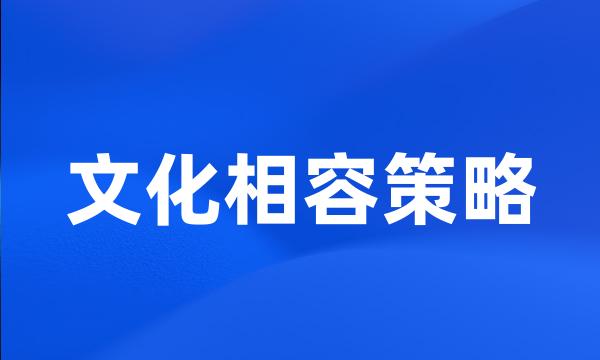 文化相容策略