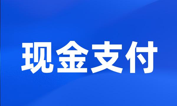 现金支付