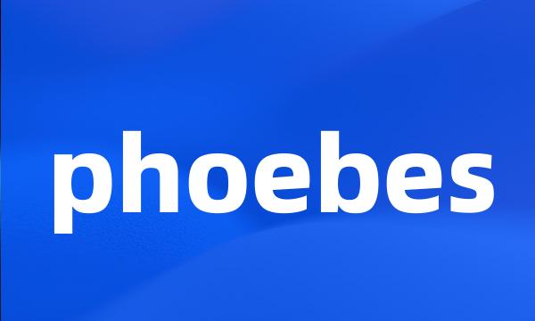 phoebes