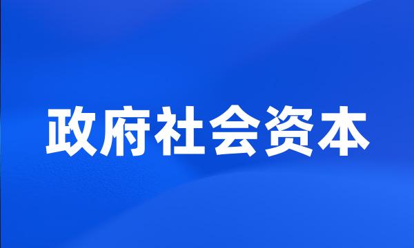 政府社会资本