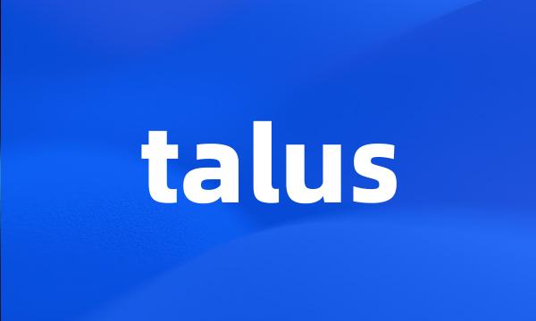 talus